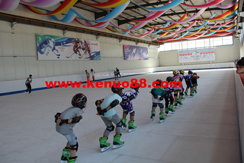 超高分子量聚乙烯仿真滑冰板